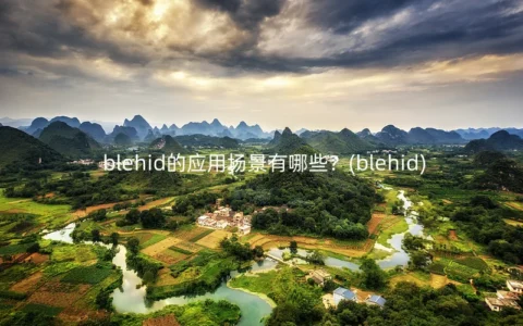 blehid的应用场景有哪些？(blehid)